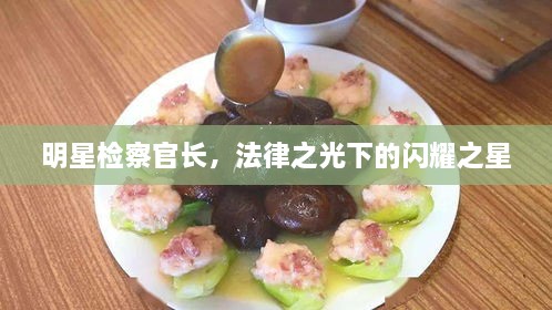 明星檢察官長(cháng)，法律之光下的閃耀之星