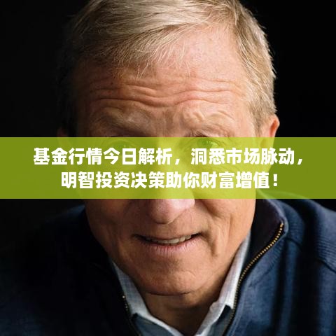 基金行情今日解析，洞悉市場(chǎng)脈動(dòng)，明智投資決策助你財富增值！