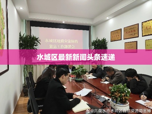 水城區最新新聞頭條速遞