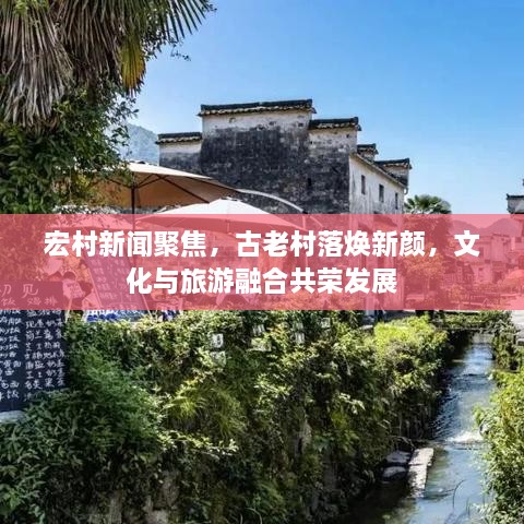 新聞動(dòng)態(tài) 第34頁(yè)