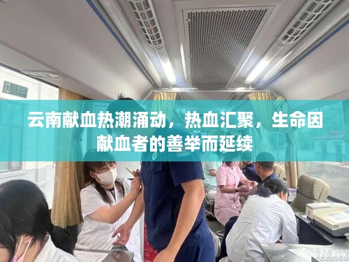 云南獻血熱潮涌動(dòng)，熱血匯聚，生命因獻血者的善舉而延續