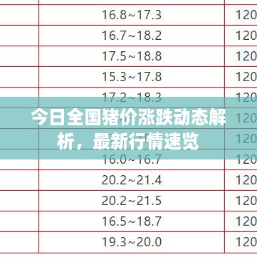 今日全國豬價(jià)漲跌動(dòng)態(tài)解析，最新行情速覽