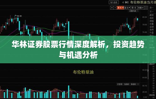 華林證券股票行情深度解析，投資趨勢與機遇分析