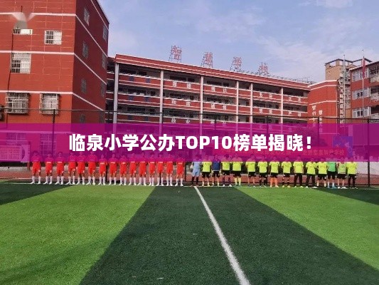 臨泉小學(xué)公辦TOP10榜單揭曉！