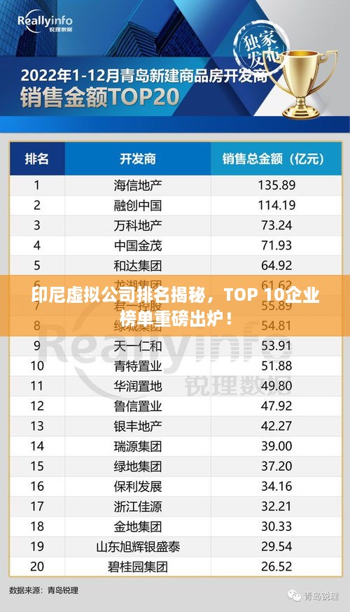 印尼虛擬公司排名揭秘，TOP 10企業(yè)榜單重磅出爐！