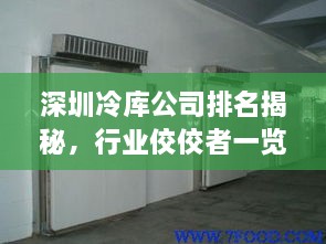 深圳冷庫公司排名揭秘，行業(yè)佼佼者一覽無(wú)余