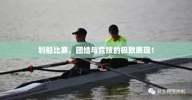 劃船比賽，團結與競技的極致展現！