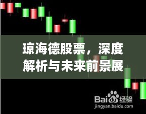 瓊海德股票，深度解析與未來(lái)前景展望