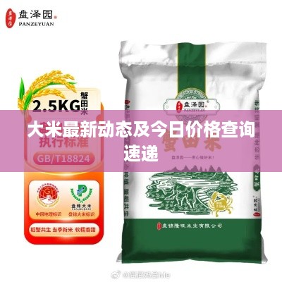 大米最新動(dòng)態(tài)及今日價(jià)格查詢(xún)速遞