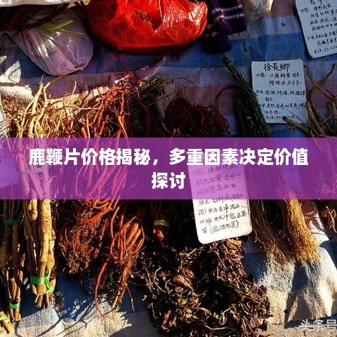 鹿鞭片價(jià)格揭秘，多重因素決定價(jià)值探討