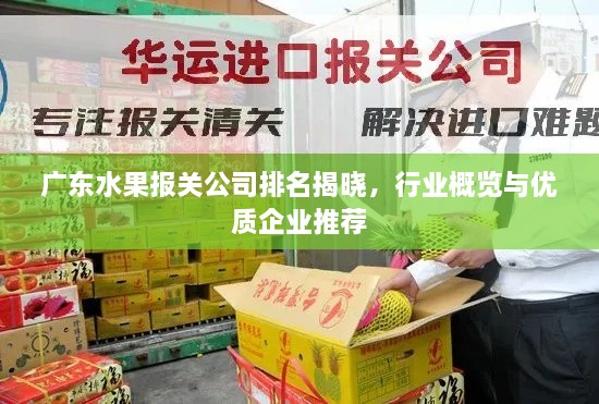 廣東水果報關(guān)公司排名揭曉，行業(yè)概覽與優(yōu)質(zhì)企業(yè)推薦