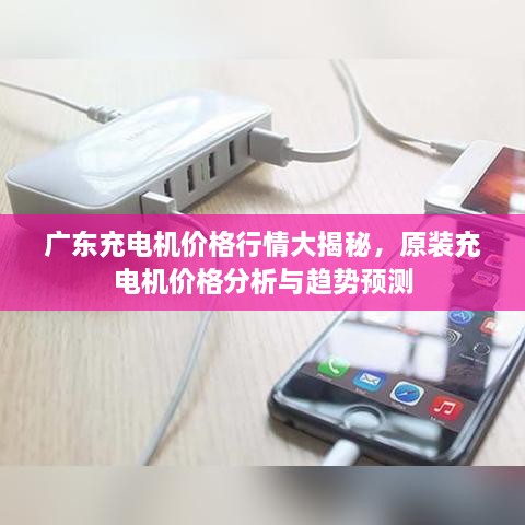 廣東充電機價(jià)格行情大揭秘，原裝充電機價(jià)格分析與趨勢預測
