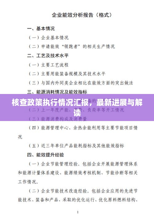 核查政策執行情況匯報，最新進(jìn)展與解讀