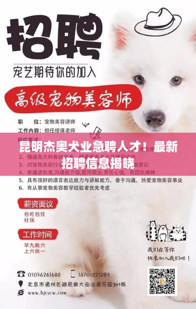 昆明杰奧犬業(yè)急聘人才！最新招聘信息揭曉