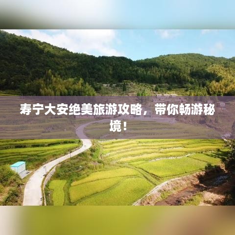 壽寧大安絕美旅游攻略，帶你暢游秘境！