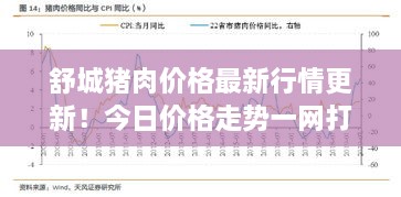 舒城豬肉價(jià)格最新行情更新！今日價(jià)格走勢一網(wǎng)打盡