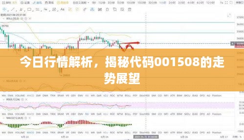 今日行情解析，揭秘代碼001508的走勢展望