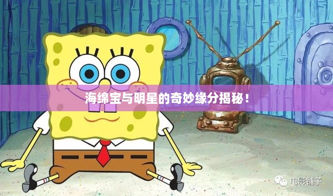 海綿寶與明星的奇妙緣分揭秘！