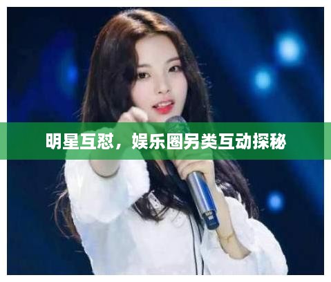 明星互懟，娛樂(lè )圈另類(lèi)互動(dòng)探秘
