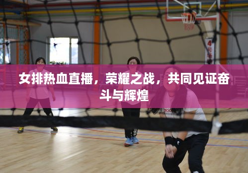 女排熱血直播，榮耀之戰，共同見(jiàn)證奮斗與輝煌