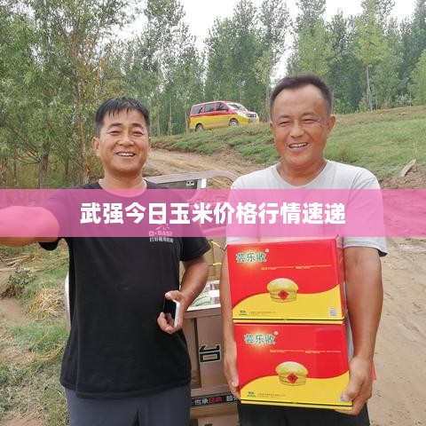 炊粱跨衛