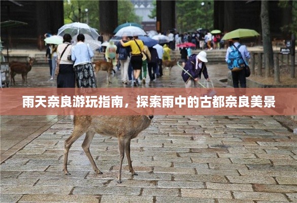 工程案例 第22頁(yè)