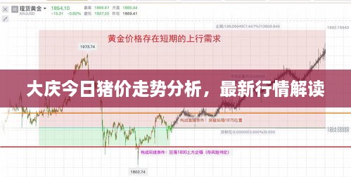 大慶今日豬價(jià)走勢分析，最新行情解讀