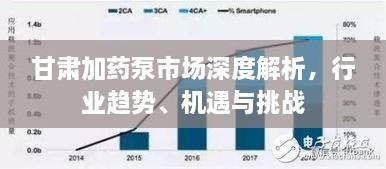 甘肅加藥泵市場(chǎng)深度解析，行業(yè)趨勢、機遇與挑戰