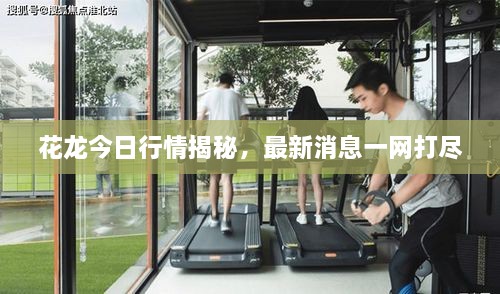 新聞動(dòng)態(tài) 第18頁(yè)