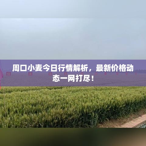 工程案例 第18頁(yè)