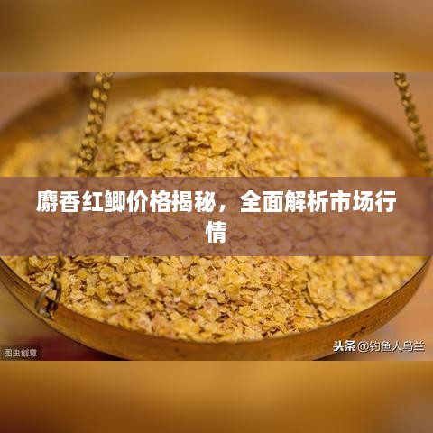 麝香紅鯽價(jià)格揭秘，全面解析市場(chǎng)行情