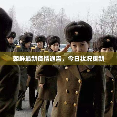 朝鮮最新疫情通告，今日狀況更新