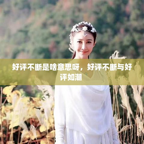 好評不斷是啥意思呀，好評不斷與好評如潮 