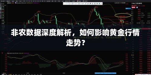 食淡衣粗
