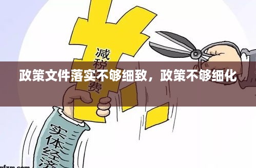 政策文件落實(shí)不夠細致，政策不夠細化 