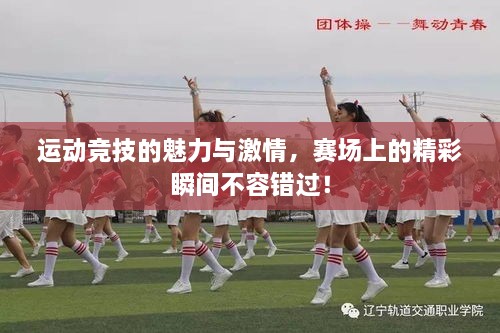 運動(dòng)競技的魅力與激情，賽場(chǎng)上的精彩瞬間不容錯過(guò)！