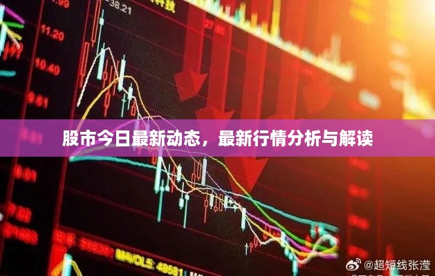 股市今日最新動(dòng)態(tài)，最新行情分析與解讀