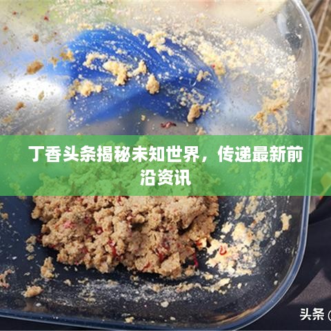 工程案例 第15頁(yè)