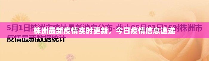 株洲最新疫情實(shí)時(shí)更新，今日疫情信息速遞