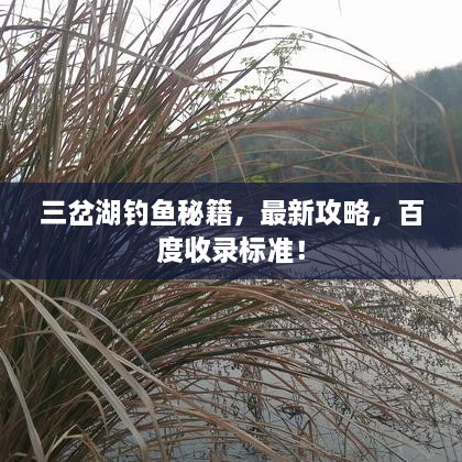 三岔湖釣魚(yú)秘籍，最新攻略，百度收錄標準！