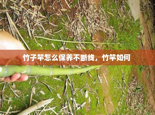 解決方案 第12頁(yè)