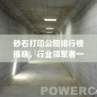 砂石打印公司排行榜揭曉，行業(yè)領(lǐng)軍者一覽