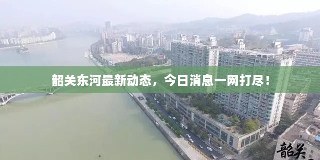 韶關(guān)東河最新動(dòng)態(tài)，今日消息一網(wǎng)打盡！