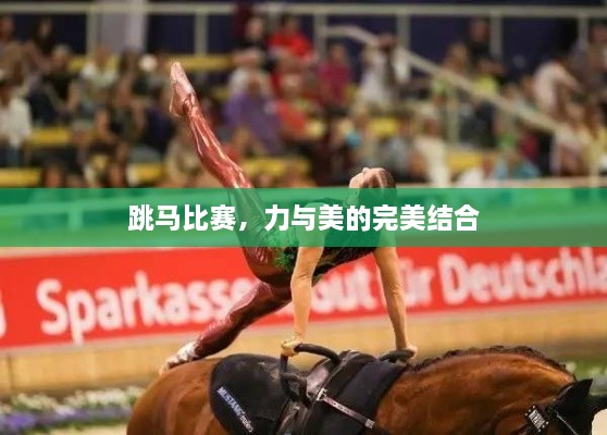 跳馬比賽，力與美的完美結合