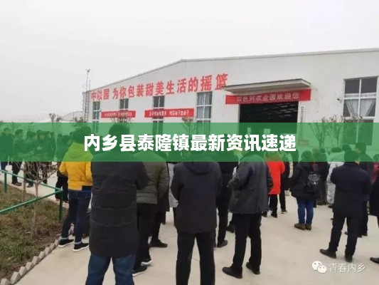 內鄉縣泰隆鎮最新資訊速遞