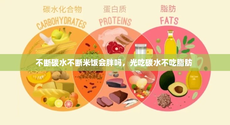 新聞動(dòng)態(tài) 第9頁(yè)