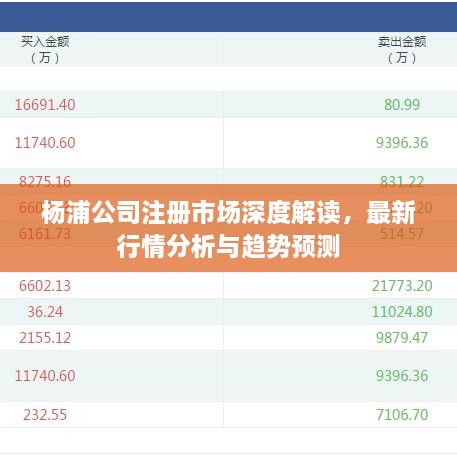 楊浦公司注冊市場(chǎng)深度解讀，最新行情分析與趨勢預測