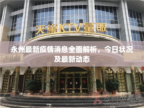 永州最新疫情消息全面解析，今日狀況及最新動(dòng)態(tài)