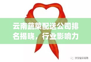 云南蔬菜配送公司排名揭曉，行業(yè)影響力大揭秘！