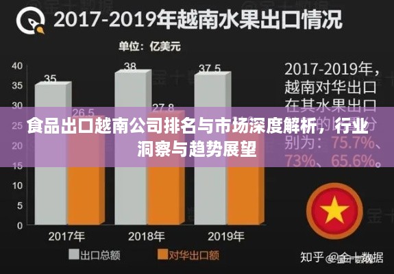 食品出口越南公司排名與市場(chǎng)深度解析，行業(yè)洞察與趨勢展望